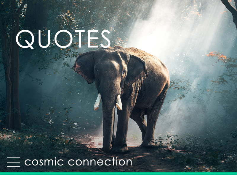 Quotes