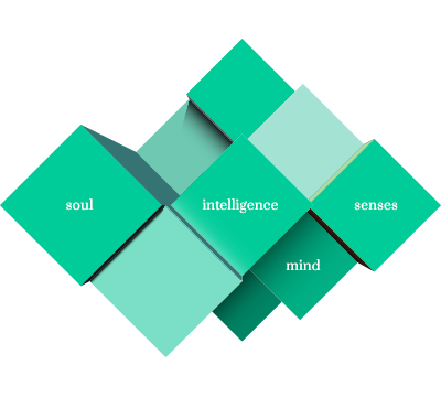 Senses Hierarchy