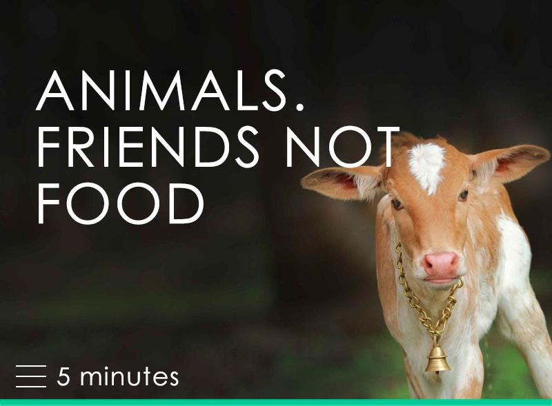 Animals. Friends not Food