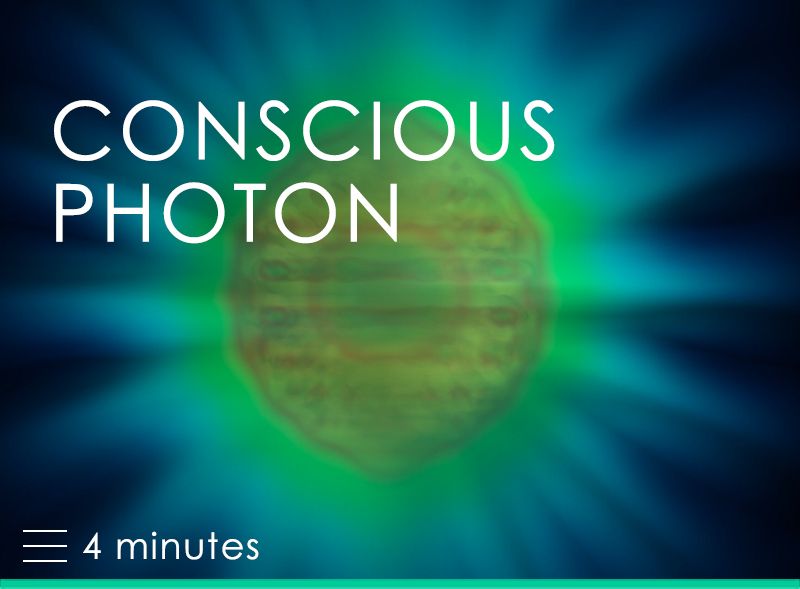Conscious Photon