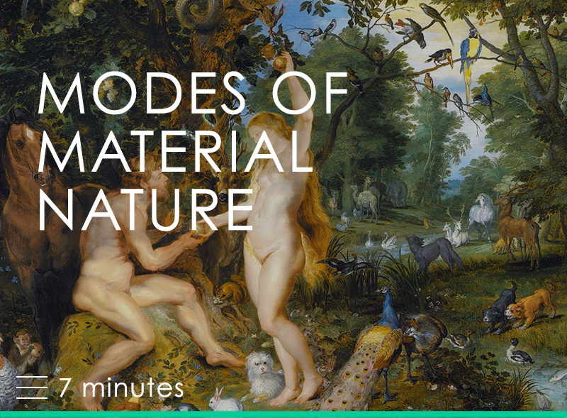 Modes of Material Nature