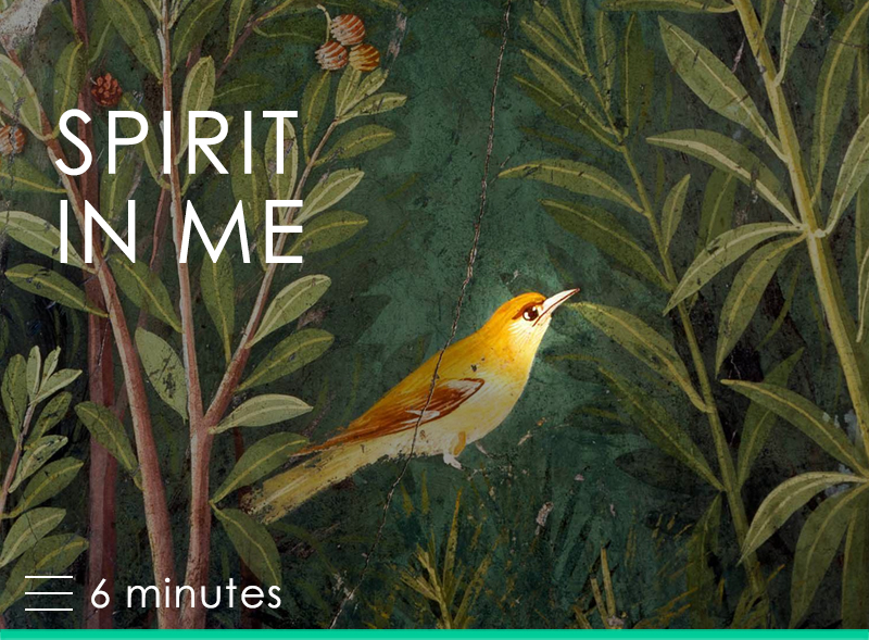 Spirit in Me