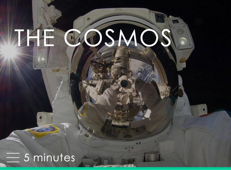 The Cosmos